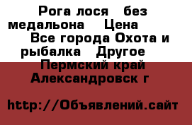 Рога лося , без медальона. › Цена ­ 15 000 - Все города Охота и рыбалка » Другое   . Пермский край,Александровск г.